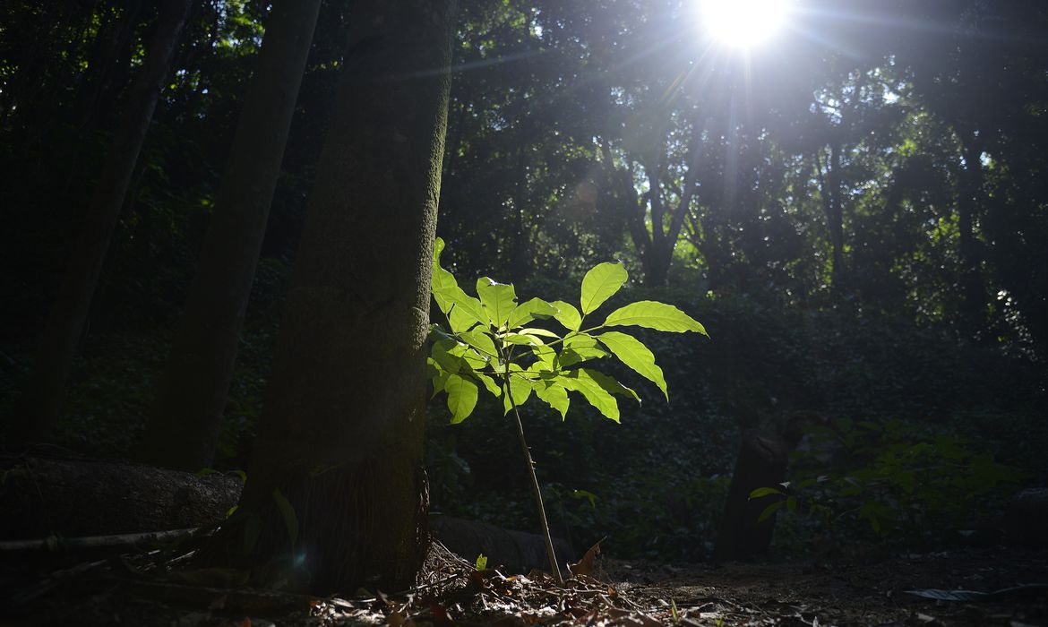 Rio terá bolsa de valores para compra e créditos de carbono