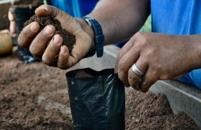 Projeto da Cedae representa o Brasil em premiação internacional de sustentabilidade