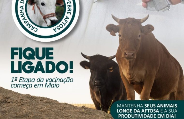 Secretaria de Agricultura: vacinação contra a Febre Aftosa começa a primeira etapa no dia 1º de maio￼
