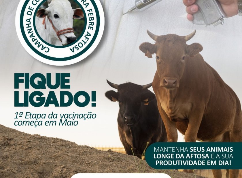 Secretaria de Agricultura: vacinação contra a Febre Aftosa começa a primeira etapa no dia 1º de maio