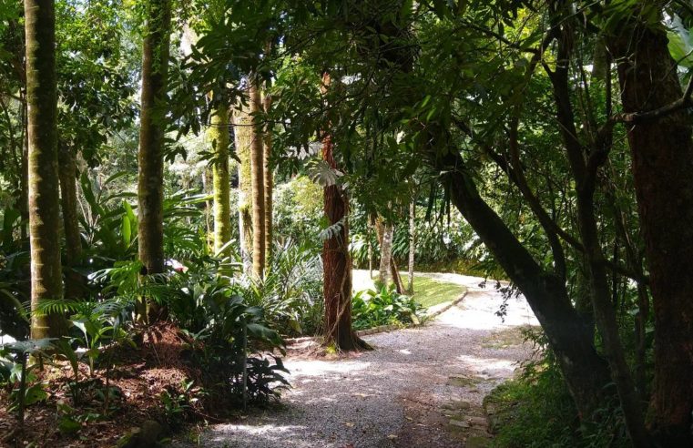 Trilha é atração para petropolitanos e turistas na Casa de Petrópolis&nbsp;