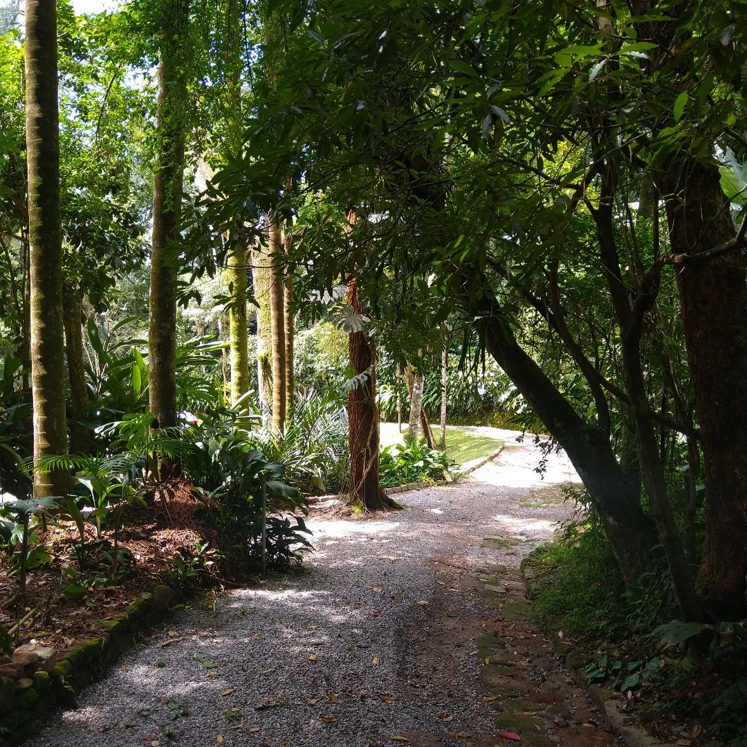 Trilha é atração para petropolitanos e turistas na Casa de Petrópolis