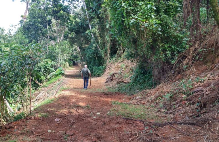 Parque Natural Municipal Padre Quinha reabre neste sábado
