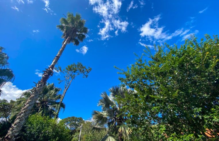 Mesmo com dia ensolarado temperatura mínima prevista para hoje (16) pode chegar a 8ºC