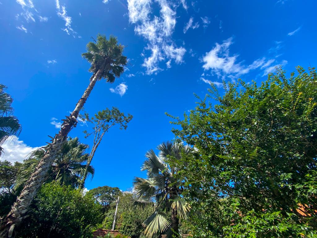 Mesmo com dia ensolarado temperatura mínima prevista para hoje (16) pode chegar a 8ºC