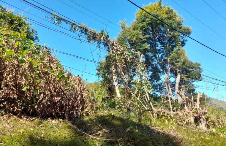Moradores da antiga Estrada do Paiolin, em Pedro do Rio, sofrem com a falta de luz