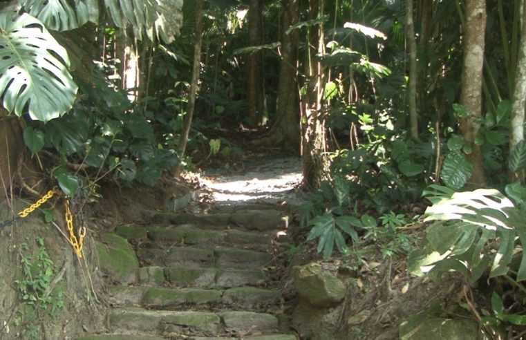 Casa de Petrópolis reabre trilha gratuita para turistas