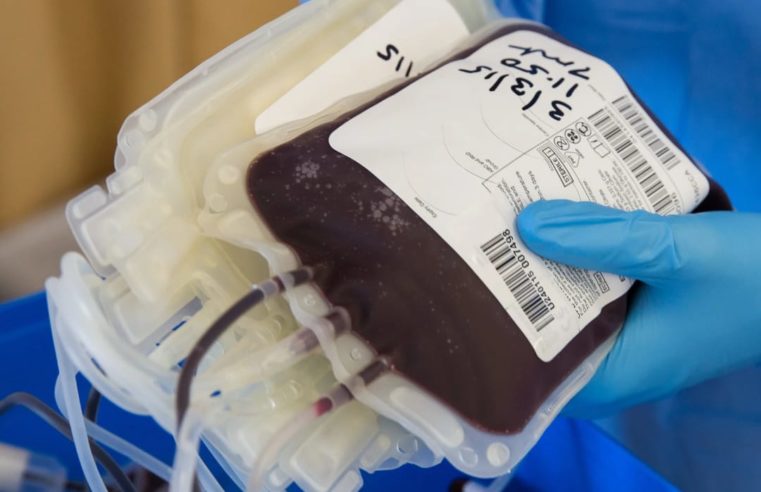 Hospital Alcides Carneiro inicia “Campanha Emergencial” para doação de sangue, em Petrópolis