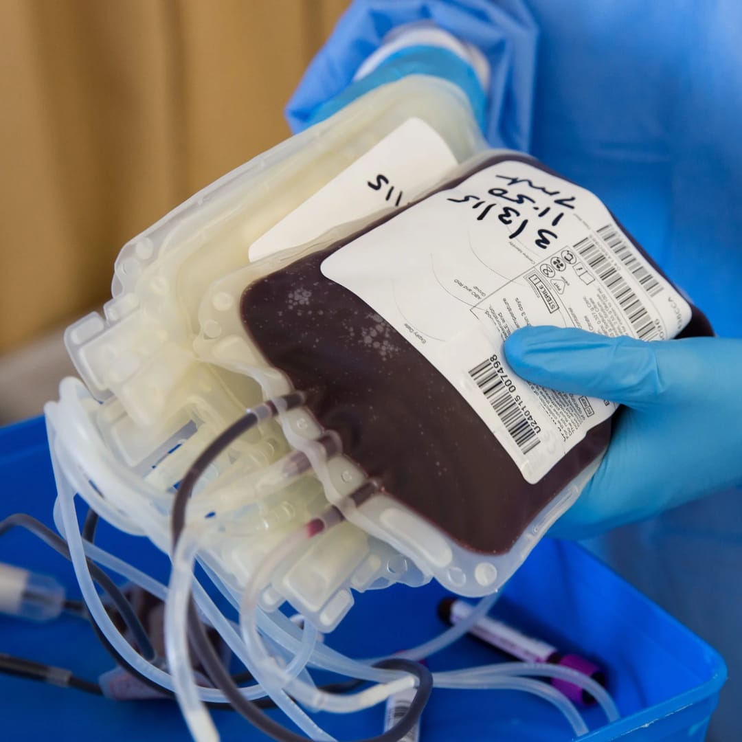 Hospital Alcides Carneiro inicia “Campanha Emergencial” para doação de sangue, em Petrópolis