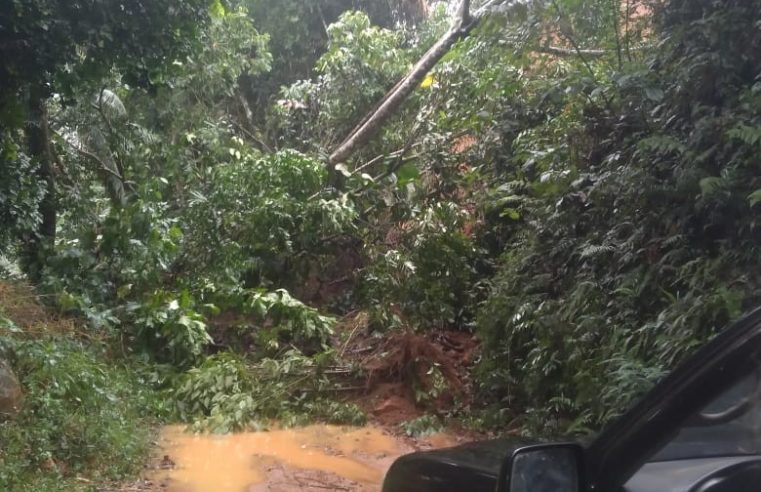 Prefeitura retira barreiras em alguns pontos do distrito de Lumiar