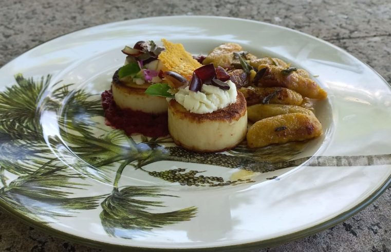 Chef Dann Mattos homenageará bicentenário da Imperatriz Teresa Cristina com prato gastronômico especial&nbsp;