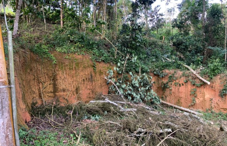Denúncia do Linha Verde leva polícia a constatar desmatamento em Nova Friburgo