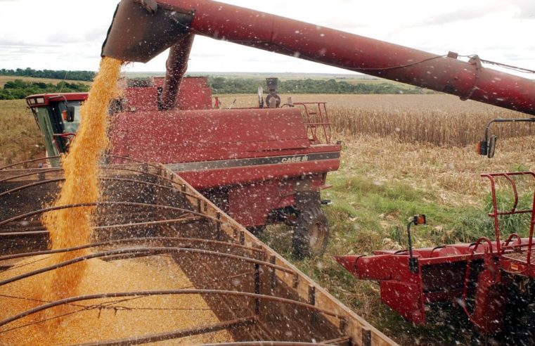 Conselho de Agronegócio da Firjan apresenta diagnóstico do mercado Agro Fluminense