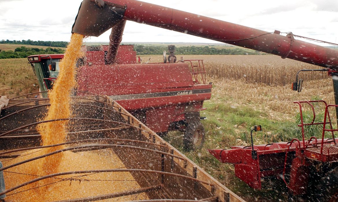 Conselho de Agronegócio da Firjan apresenta diagnóstico do mercado Agro Fluminense