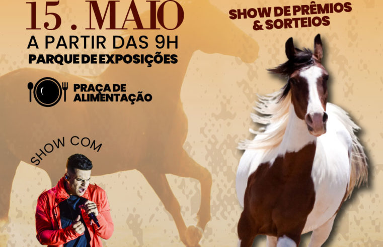 Marcha do Cavalo Mangalarga em Paraiba do Sul