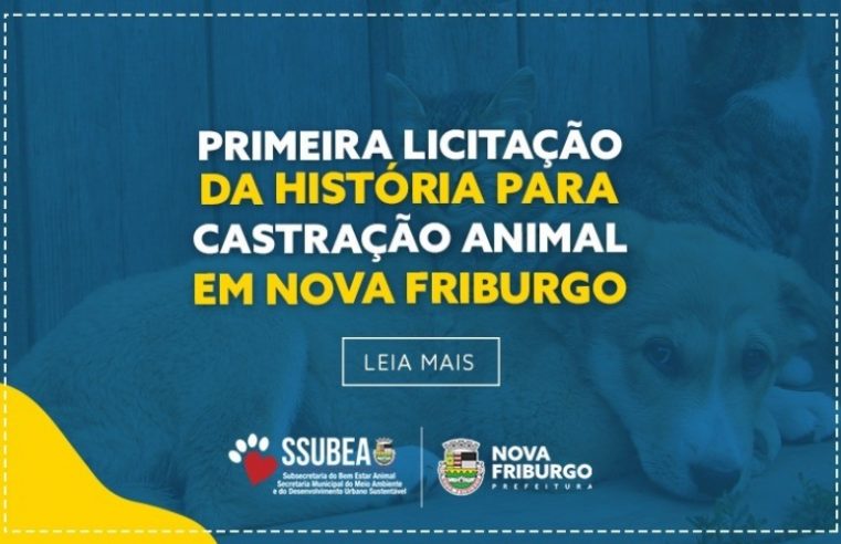Primeira licitação da história para castração animal é realizada em Nova Friburgo