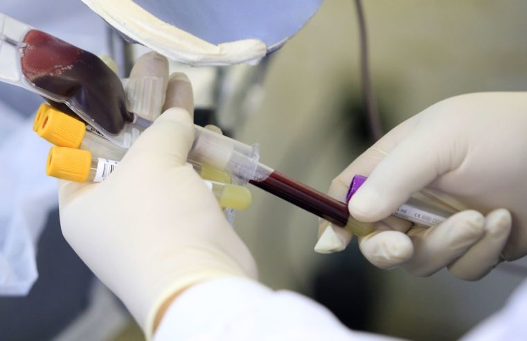 Ministério da Saúde lança campanha de incentivo à doação de sangue