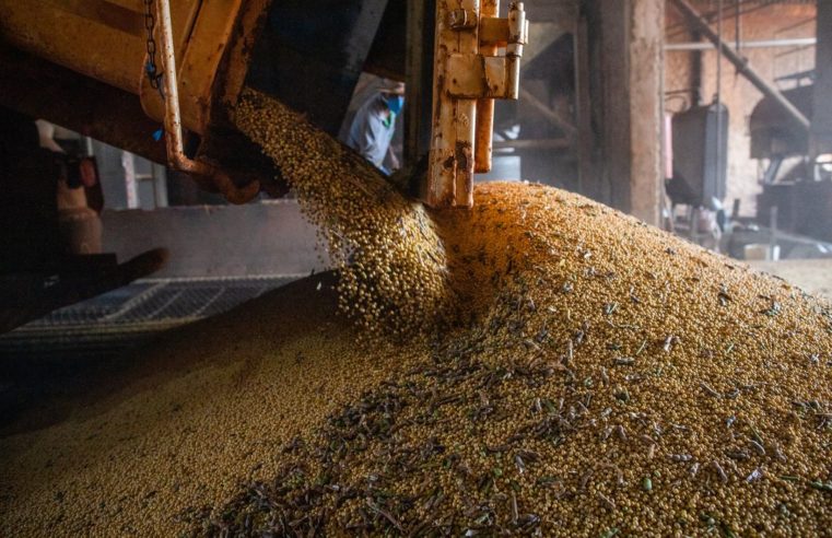 Safra de grãos deve chegar a 271,3 milhões de toneladas, estima Conab