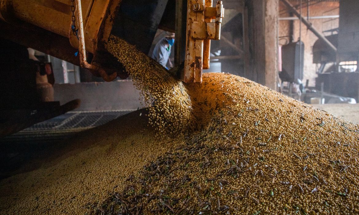 Safra de grãos deve chegar a 271,3 milhões de toneladas, estima Conab