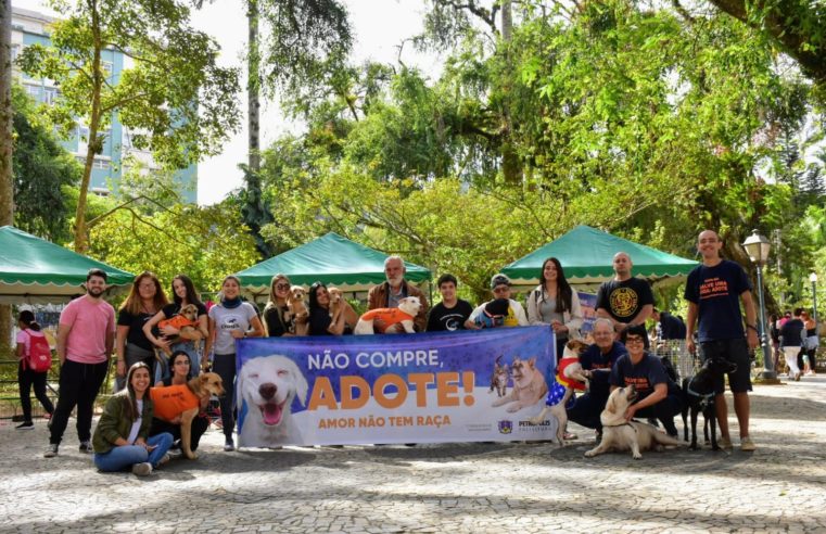 Feiras de adoção serão promovidas toda semana pela Cobea, em Petrópolis