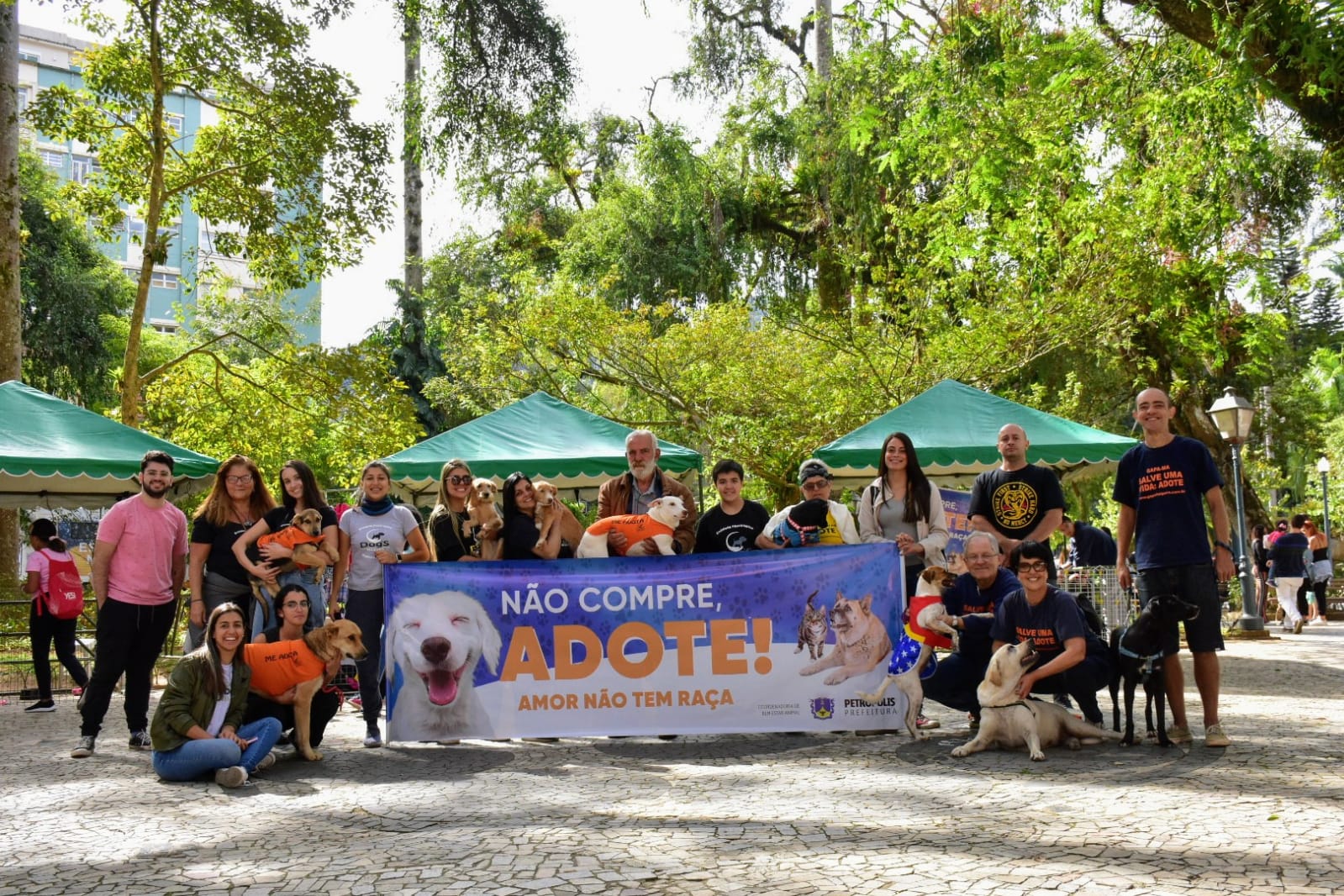Feiras de adoção serão promovidas toda semana pela Cobea, em Petrópolis