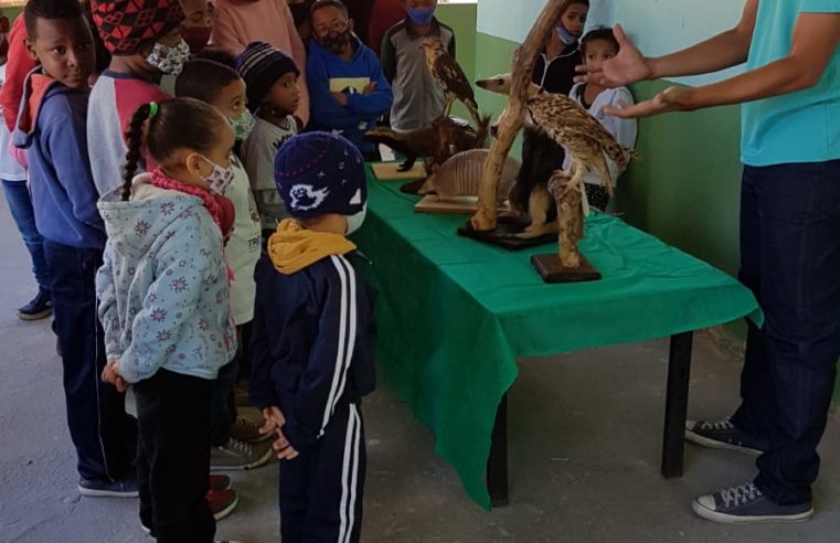 Exposição itinerante de animais taxidermizados chega a Escola Santa Maria Goretti, em Petrópolis, na próxima quarta-feira