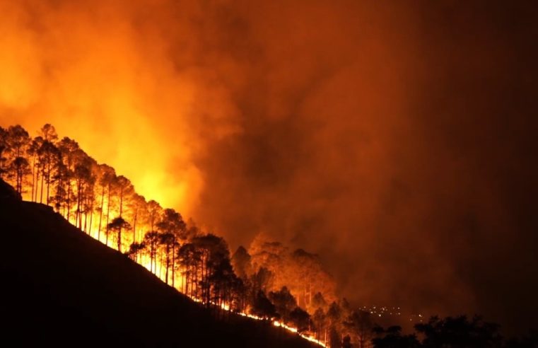 Onze queimadas já foram registradas desde 1º de maio em Petrópolis