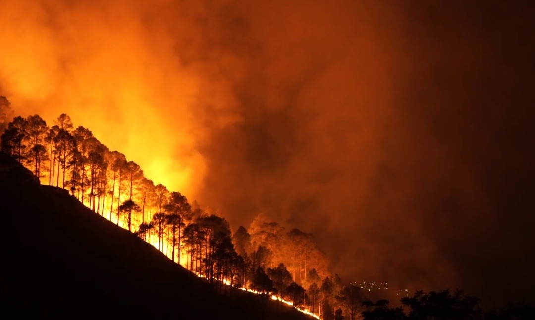Onze queimadas já foram registradas desde 1º de maio em Petrópolis