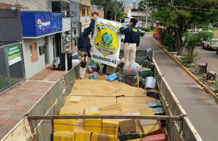 PRF faz a maior apreensão de maconha do ano em Ponta Porã