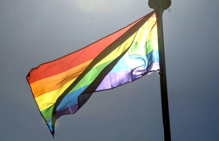 Confira as exposições culturais em celebração ao Mês do Orgulho LGBT