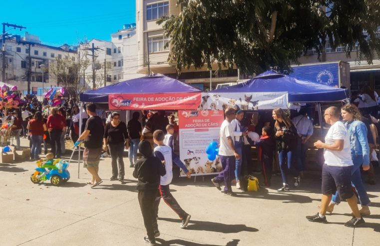 ‘Adote um Amor’: Feira realizada pela COPBEA registra três adoções em Teresópolis