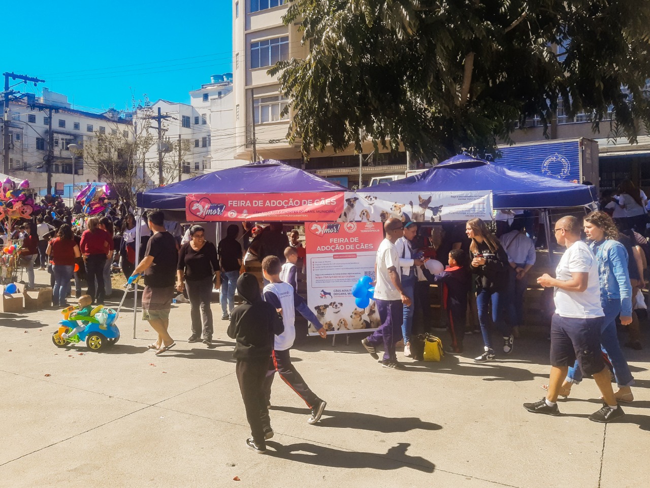 ‘Adote um Amor’: Feira realizada pela COPBEA registra três adoções em Teresópolis