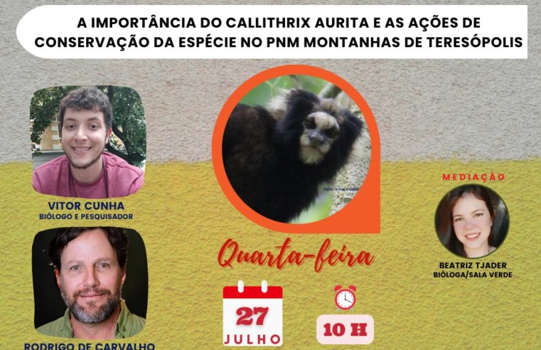 ‘Quarta às 10’: A preservação de espécie de primata em área&nbsp;do Parque Municipal é tema de palestra nesta quarta, 27/07