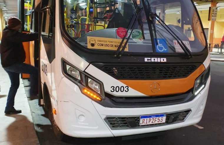 Cidade das Hortênsias já está operando dentro do Carangola