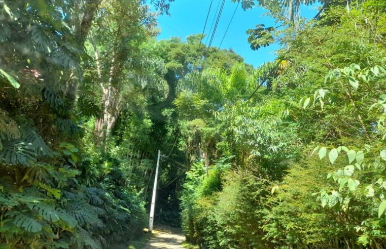 Moradores da antiga Estrada do Paiolin, em Pedro do Rio, ainda não receberam assistência da Enel, quatro meses após denúncia