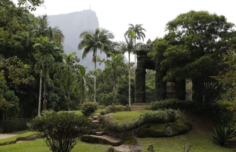 Acervo fotográfico do Jardim Botânico do Rio será revitalizado