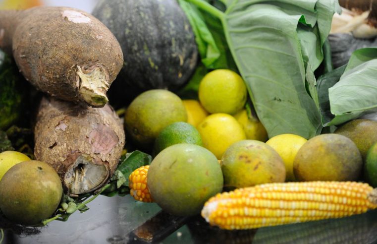 Guia do Ministério da Saúde traz dicas para alimentação de crianças