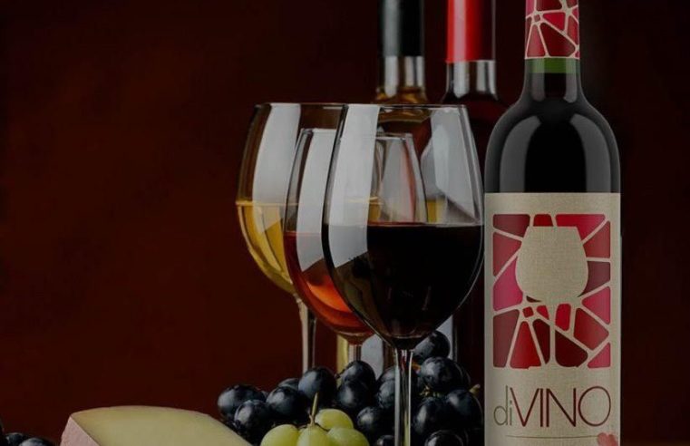 Primeira edição do diVino Experiente Festival acontece neste sábado em Petrópolis