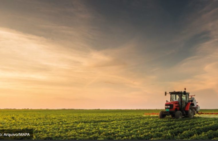 Entra em vigor portaria que reconhece adoção das boas práticas agrícolas