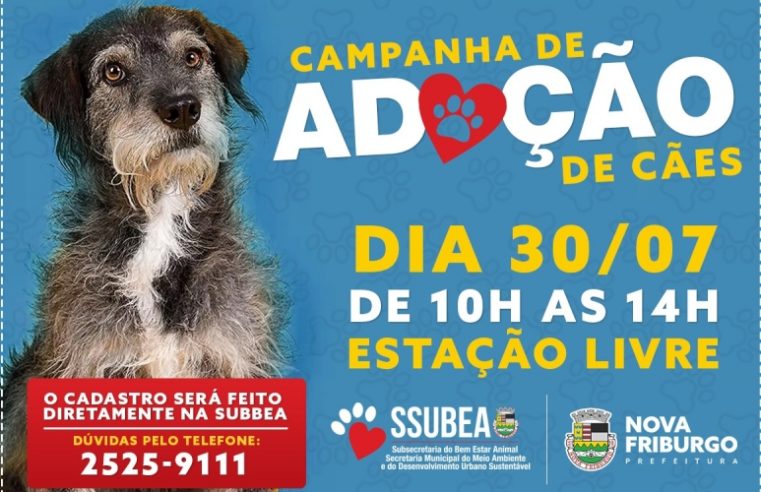 Mais uma campanha de adoção vai ser realizada pela SSUBEA em Nova Friburgo