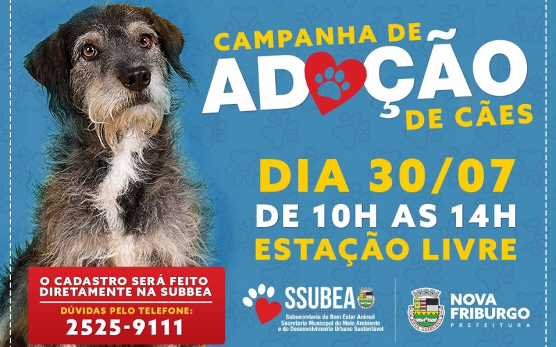 Mais uma campanha de adoção vai ser realizada pela SSUBEA em Nova Friburgo