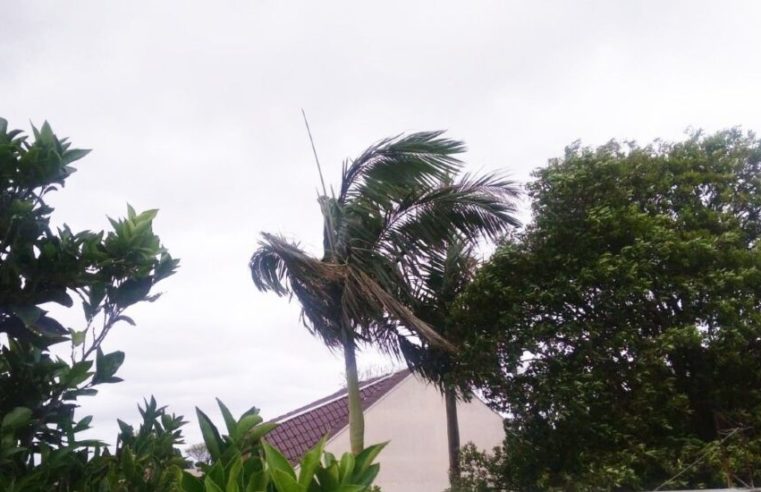 Defesa Civil informa: há possibilidade de vento moderado a forte até a madrugada de quarta-feira em Petrópolis