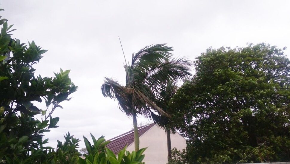 Defesa Civil emite alerta SMS de rajadas de vento de intensidade moderada a ocasionalmente forte para o município de Petrópolis