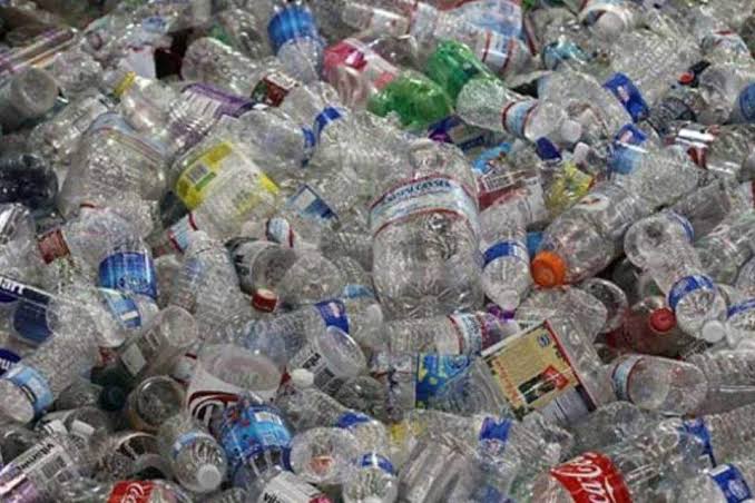 Retomada do programa Pet Zero vai mobilizar moradores do Vale do Carangola 