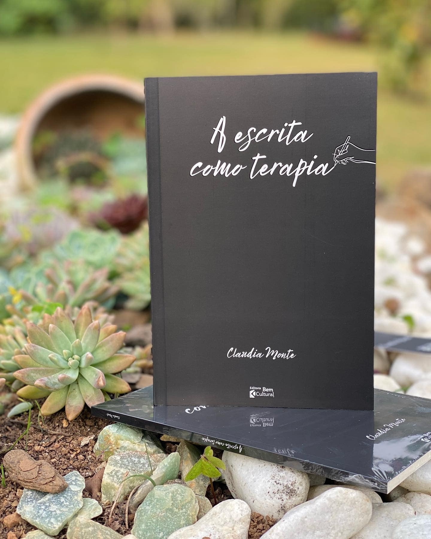 Bem Cultural Editora lança livro em Petrópolis
