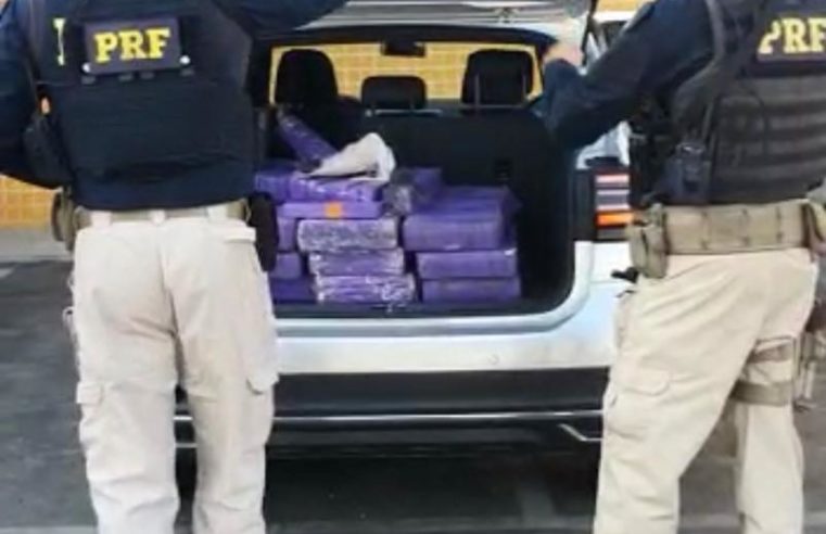 PRF apreende 300 quilos de maconha na Rodovia Presidente Dutra