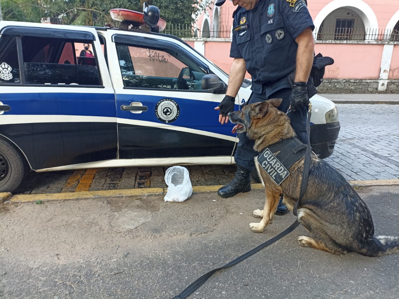 Cadela da Guarda Civil de Petrópolis encontra drogas em praça, no Centro Histórico