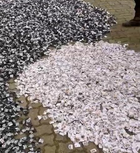 Polícia Militar de Teresópolis apreende 16.500 pinos de cocaína