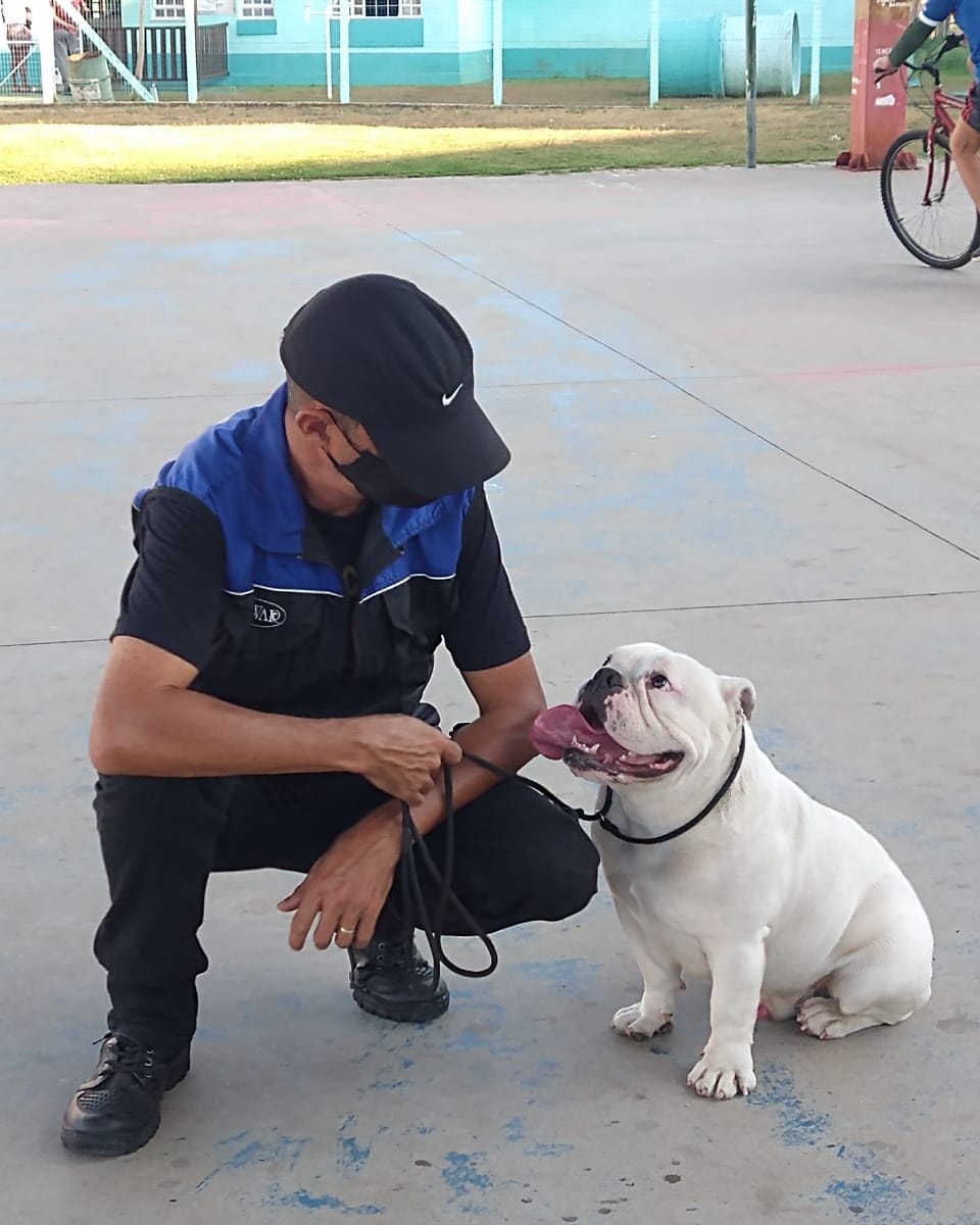 Parceria do Bramil Supermercados oferece curso gratuito de adestramento de cães por meio do Projeto Pet Presente em Três Rios