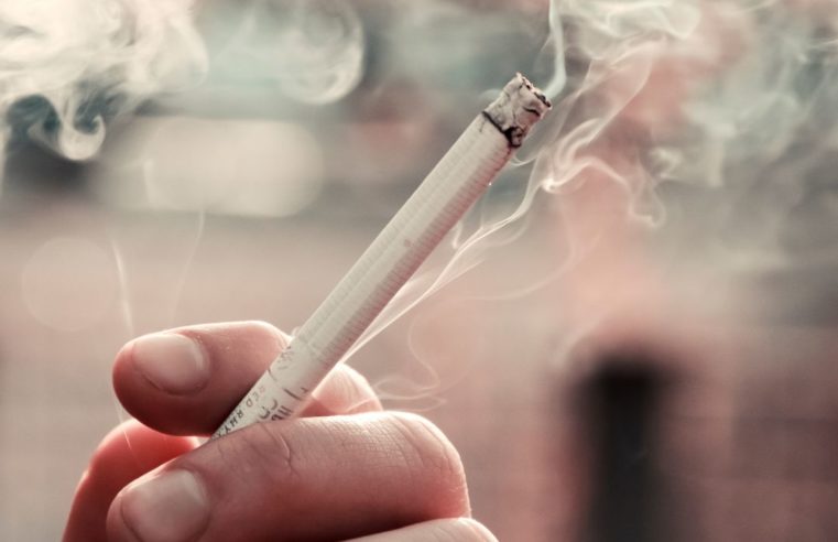 Especialistas fazem alerta sobre os danos causados pelo tabaco no Dia Nacional de Combate ao Fumo